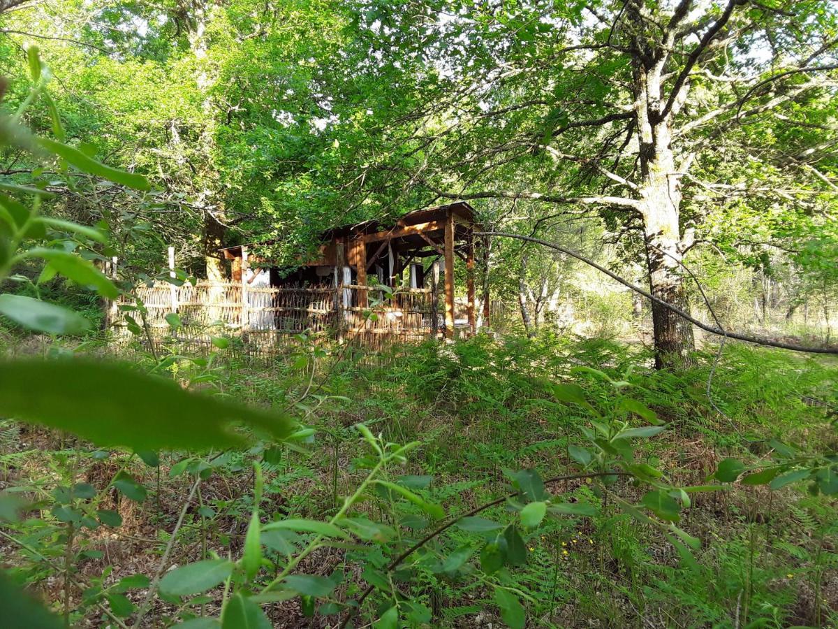 Les Landines Acomodação com café da manhã Origne  Exterior foto