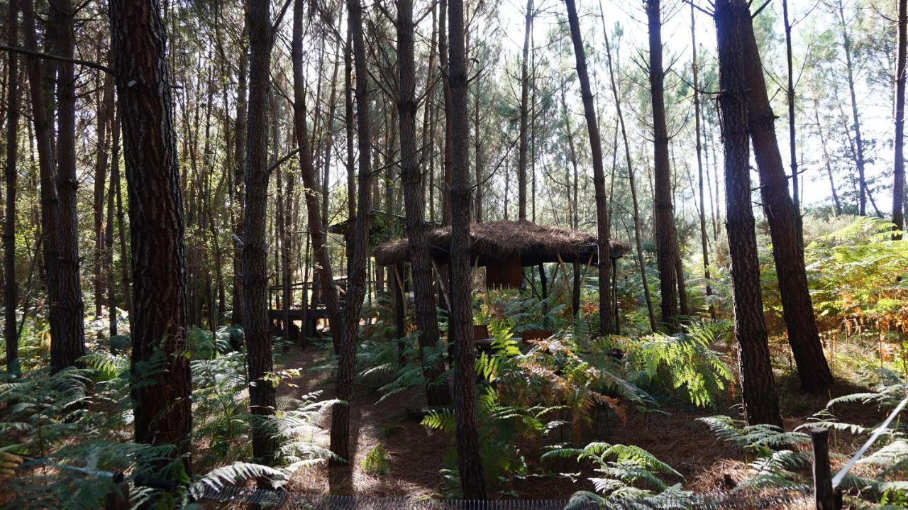 Les Landines Acomodação com café da manhã Origne  Exterior foto